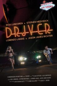Driver 2018 one on netflix