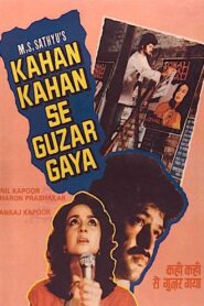 Kahan Kahan Se Guzar Gaya 1986 one on netflix