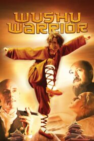 Wushu Warrior 2010 one on netflix