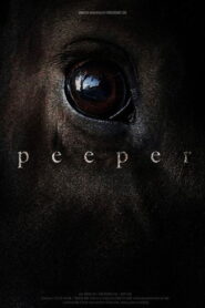 Peeper 2024 one on netflix