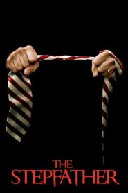 The Stepfather 2009 one on netflix
