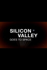 Silicon Valley Goes to Space 2013 one on netflix