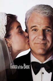 Father of the Bride 1991 one on netflix