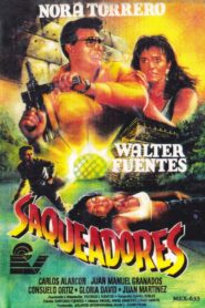 Saqueadores 1992 one on netflix