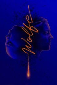 Wolfe 2018 one on netflix