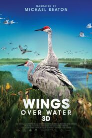 Wings Over Water 2022 one on netflix
