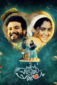 Pyppin Chuvattile Pranayam 2017 one on netflix