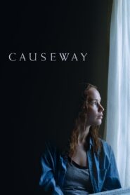 Causeway 2022 one on netflix