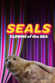 Seals – Clowns of the Sea 2021 one on netflix