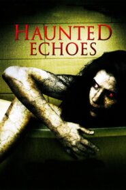 Haunted Echoes 2008 one on netflix