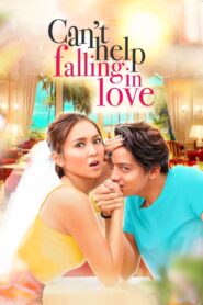 Can’t Help Falling in Love 2017 one on netflix