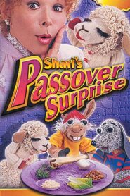 Shari’s Passover Surprise 1996 one on netflix