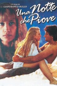 A Night Full of Rain 1995 one on netflix