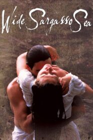 Wide Sargasso Sea 1993 one on netflix