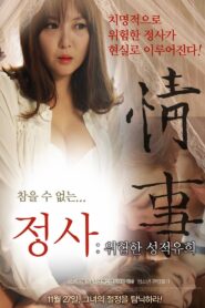 An Affair: A Dangerous Sexual Play 2014 one on netflix