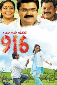 916 2012 one on netflix