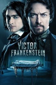 Victor Frankenstein 2015 one on netflix