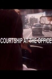 Courtship at the Office 2008 one on netflix