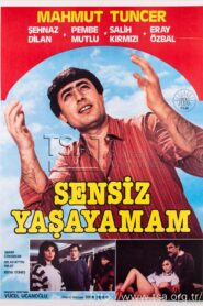 Sensiz Yaşayamam 1985 one on netflix