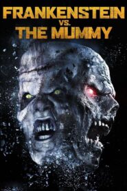 Frankenstein vs. The Mummy 2015 one on netflix