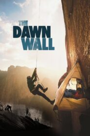 The Dawn Wall 2017 one on netflix