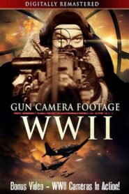 Gun Camera Footage WWII 2020 one on netflix