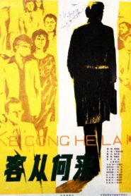 Ke cong he lai 1980 one on netflix