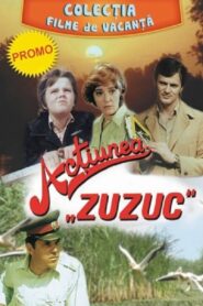 Acțiunea Zuzuc 1985 one on netflix