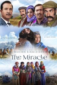 The Miracle 2015 one on netflix