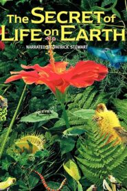 The Secret of Life on Earth 1993 one on netflix