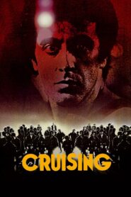 Cruising 1980 one on netflix