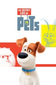 The Secret Life of Pets 2016 one on netflix