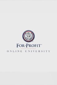For-Profit Online University 2013 one on netflix