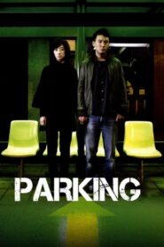 Parking 2008 one on netflix