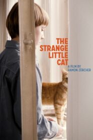 The Strange Little Cat 2013 one on netflix