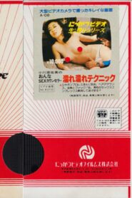 Asami Ogawa: Female SEX Counselor, Wet Technique 1981 one on netflix