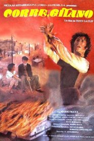Corre, gitano 1982 one on netflix