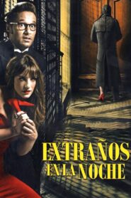 Strangers in the Night 2012 one on netflix