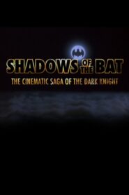 Shadows of the Bat: The Cinematic Saga of the Dark Knight 2008 one on netflix