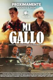 Mi Gallo 2024 one on netflix