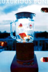 Luxurious Bone 2001 one on netflix