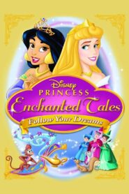 Disney Princess Enchanted Tales: Follow Your Dreams 2007 one on netflix