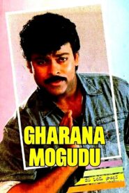 Gharana Mogudu 1992 one on netflix