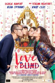 Love Is Blind 2016 one on netflix