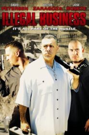 Illegal Business 2006 one on netflix