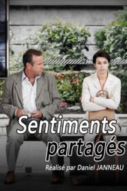 Sentiments partagés 2002 one on netflix