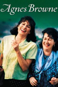 Agnes Browne 1999 one on netflix