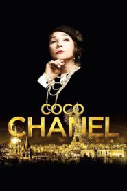 Coco Chanel 2008 one on netflix