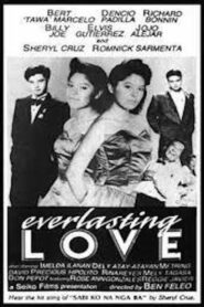 Everlasting Love 1989 one on netflix