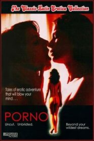 Porno! 1981 one on netflix